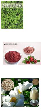 plant extract （Steviosin; Cranberry Extract; Paeonia Lactiflora