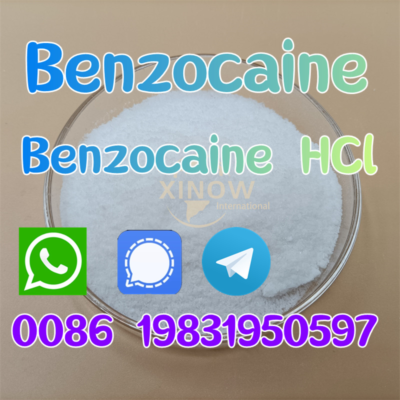 cas 94-09-7 Benzocaine Powder at best price