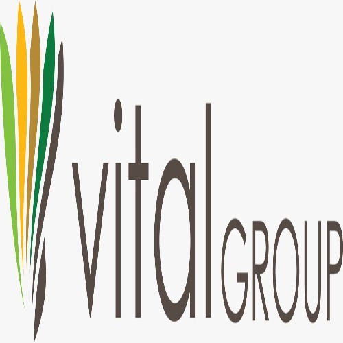 Vital Tea