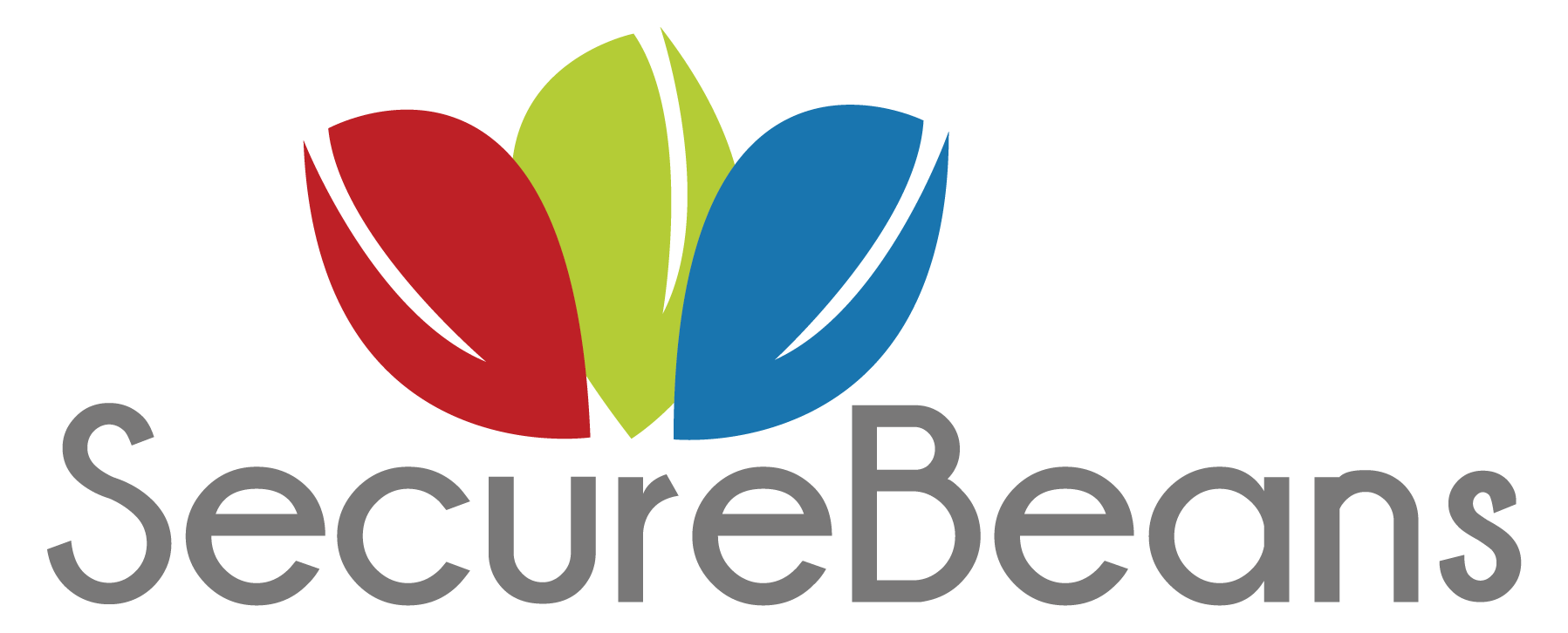 SECUREBEANS