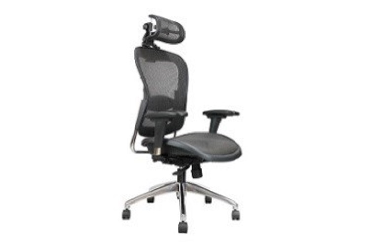 Ergonomic Mesh Chair   LM5889AX-A