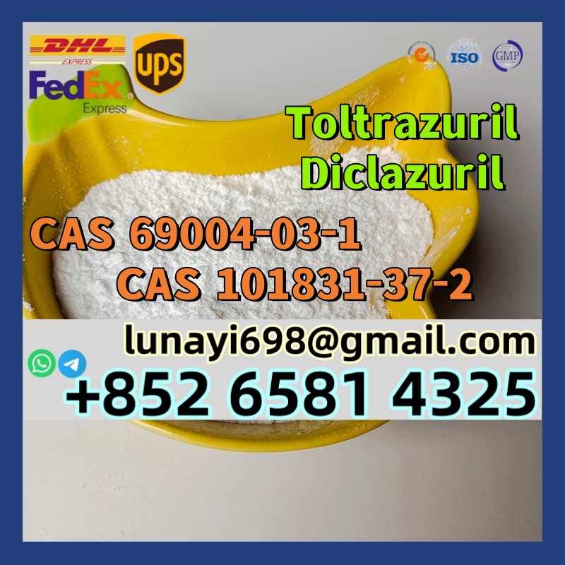 100-customs-clearance-procaine-base-procaine-hcl-cas-59-46-151-05-8-113470