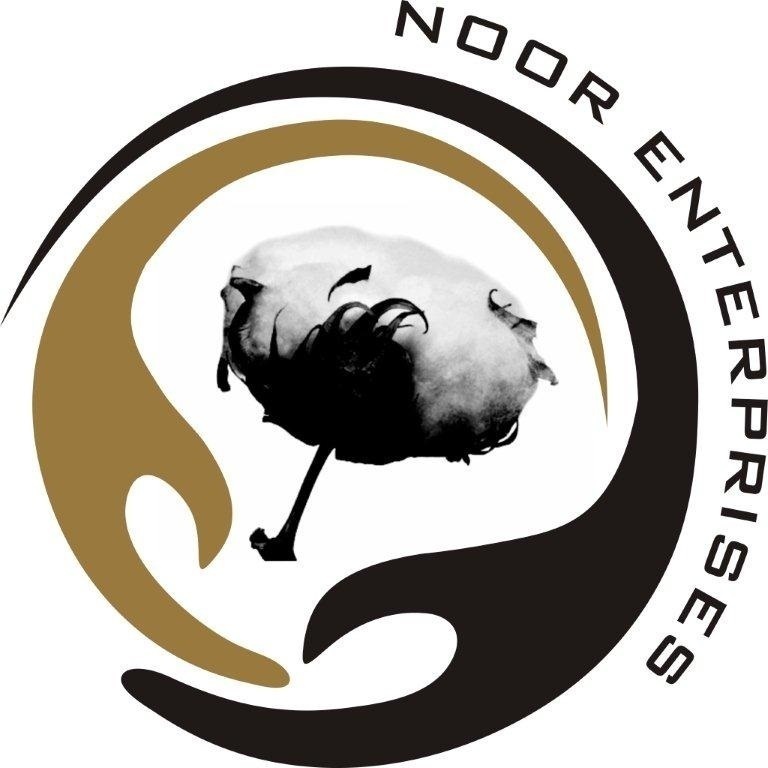 Noor Enterprises