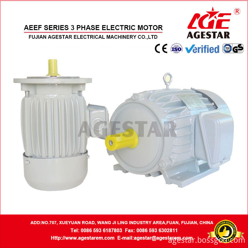 AEEF Series Three phase Electric motor