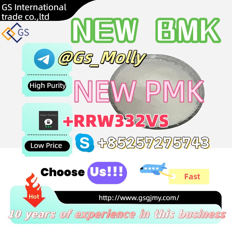 reliable-gs-new-bmk-supplier-glycidic-acid-sodium-salt-113542