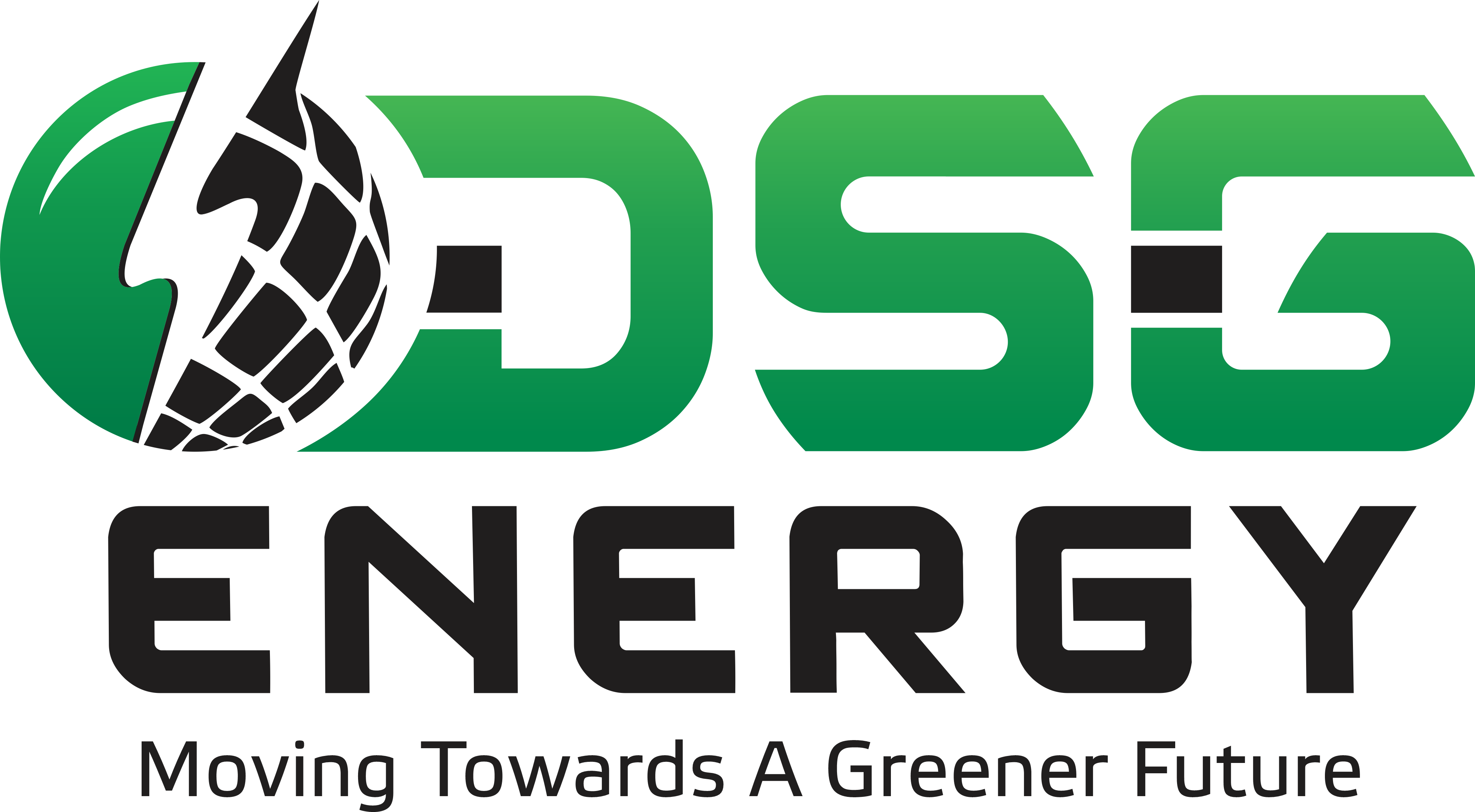 DSG ENERGY