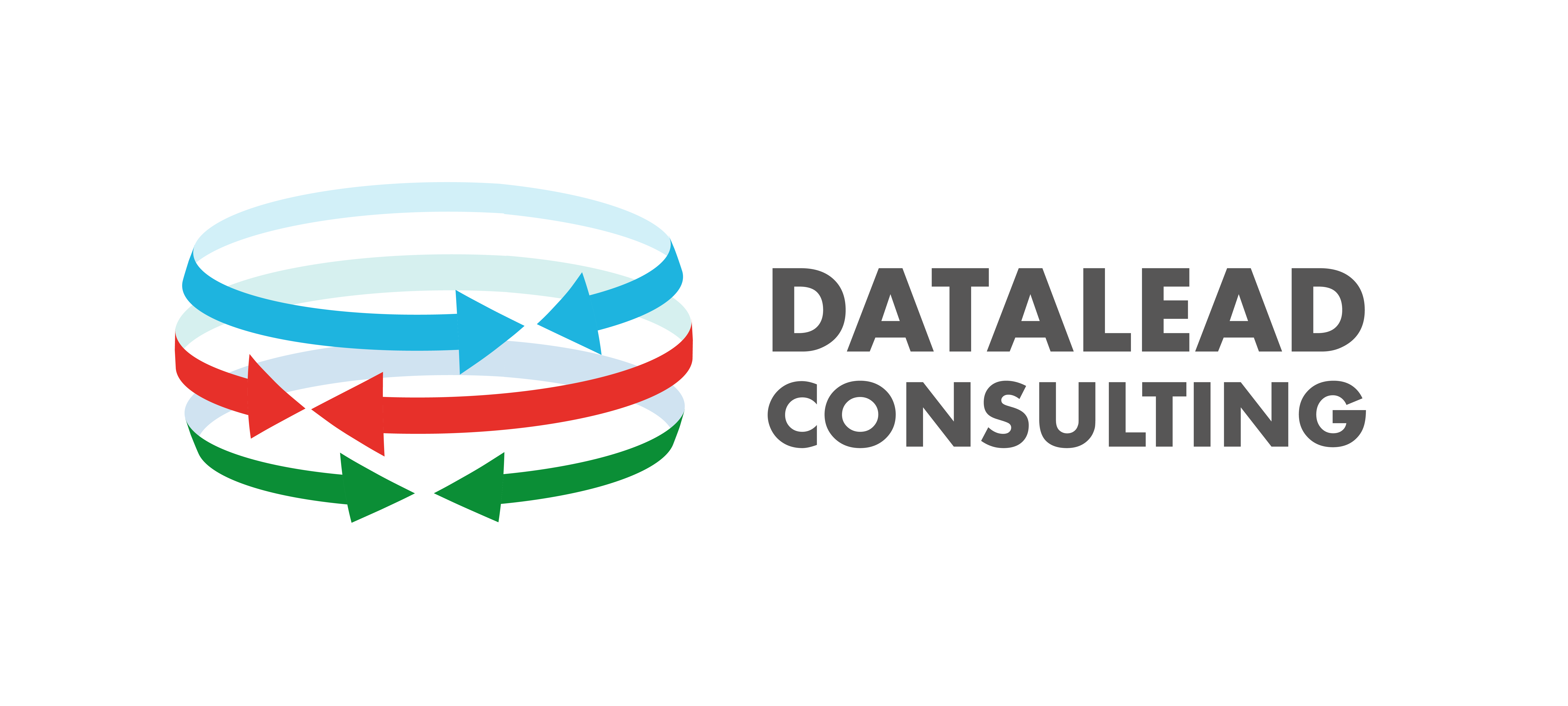 Datalead LLC