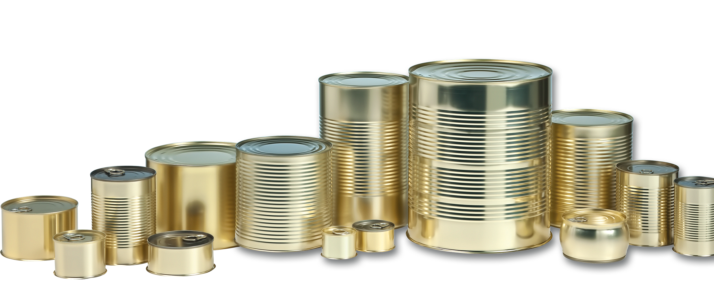 canned-food-group-109254