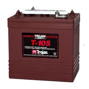 ing a Trojan Battery Type Battery T-105