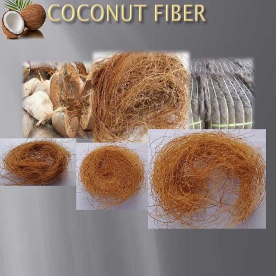 Coconut Fiber