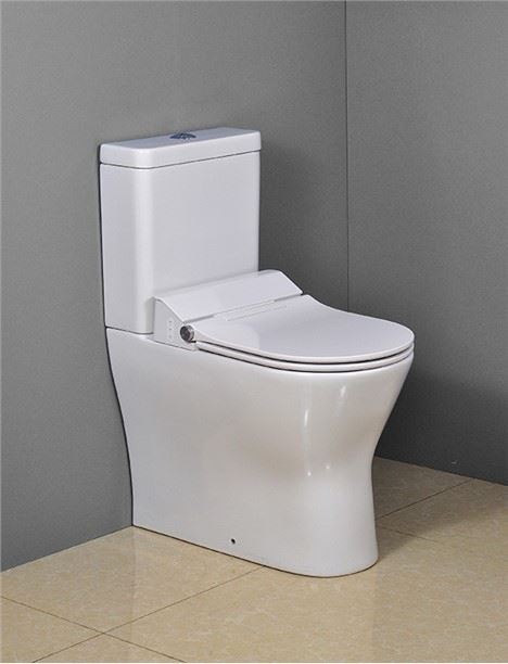 Close Coupled Toilet Fully Skirted Luxury Design