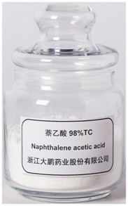 naphthylacetic-acid-111403