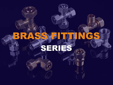 Brass Fittings Series